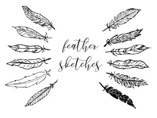 Obraz premium Feather sketches set, ornament from bird wing hand drawn in pencil, ink or pen, quills