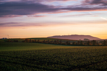 sunset over the field