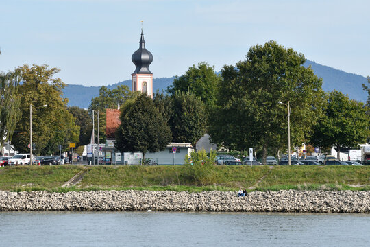 rheinufer bei gernsheim