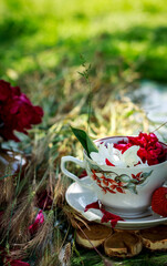 Composition of cups, peony petals and wheat on glass in the garden