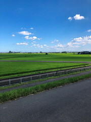 field and sky