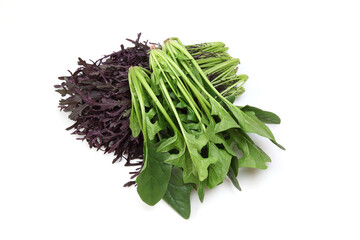 カラシナとほうれん草