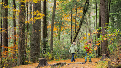 Fall Hike in North Carolina