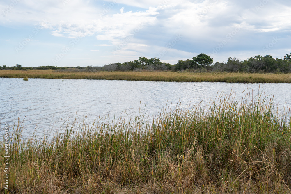 Wall mural Brackish water tidal estuarine bay  along the coastal States up and down the Atlantic seaboard where freshwater rivers and streams mix microplastics, runoff and fertilizer into the ocean