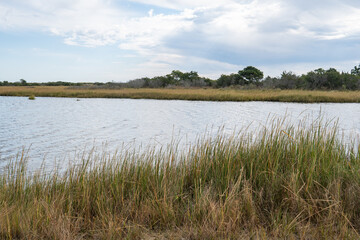 Brackish water tidal estuarine bay  along the coastal States up and down the Atlantic seaboard where freshwater rivers and streams mix microplastics, runoff and fertilizer into the ocean