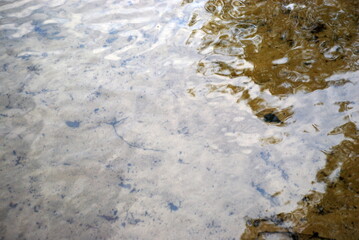Reflection of trees in clear water. From the almost flat surface of clean transparent water through which you can see the sandy bottom, the branches of the trees standing on the shore are reflected.