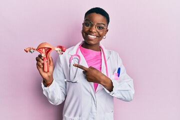 Young african american doctor woman holding anatomical model of female genital organ smiling happy...