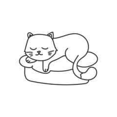 Hand Drawn Cat Sleep in Pillow Illustration Outline Design Vector Template