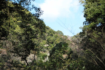 箕面公園