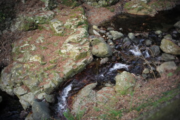 箕面公園