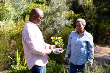 African american senior couple gardening, planting flowers outdoors