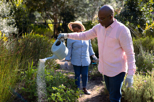 African american senior couple wearing hats, gardening, watering plants outdoors