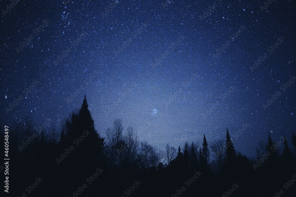 Wall mural starry night sky in ontario, canada. astrophotography image of the constellation pleiades.
