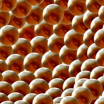 One Million Shrooms to Earth II