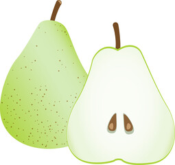 洋梨のイラスト