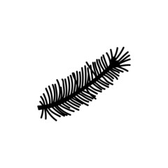 Single hand drawn Christmas pine twig. Vector illustration in doodles style. Isolated on white background.