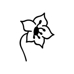 Single hand drawn flower head. Vector illustration in doodles style. Isolate on a white background.