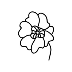 Single hand drawn flower head. Vector illustration in doodles style. Isolate on a white background.