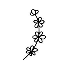 Single hand drawn twig with flower. Vector illustration in doodle style. Isolate on a white background.