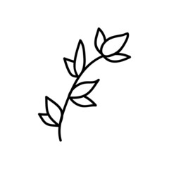Single hand drawn twig. Vector illustration in doodle style. Isolate on a white background.