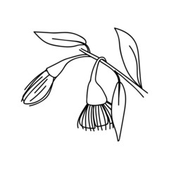 Fototapeta premium Single hand drawn twig with flower. Vector illustration in doodle style. Isolate on a white background.