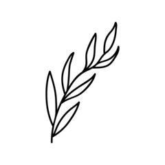 Single hand drawn twig. Vector illustration in doodle style. Isolate on a white background.