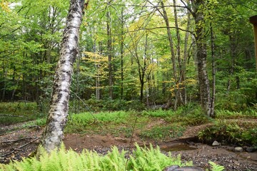 The Laurentides region of Quebec