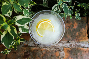 lime juice or lemon juice, lemon soda or tonic or soda and lemon sliced