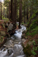 Fototapeta premium Big Sur