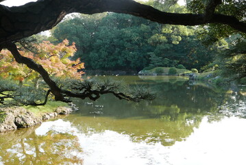 栗林公園