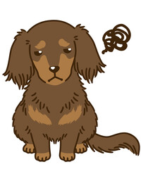 不満があるダックスフンド（チョコタン）