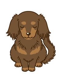 おじぎするダックスフンド（チョコタン）