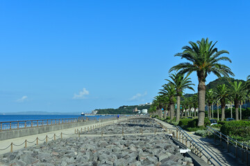 横須賀馬堀海岸遊歩道