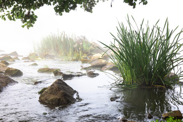 River with rapids in the early morning fog.