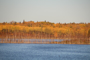 Fall Colors On The Water, Elk Island National Park, Alberta