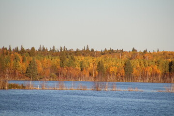 Fall On The Shoreline, Elk Island National Park, Alberta