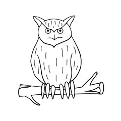 Sketch of an owl on a branch. Magical animals. Vector element for Halloween design.