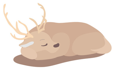 寝ているトナカイ