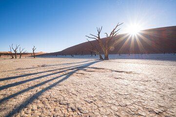 The desert landscape of Namibia, the natural landscape of Africa, located in Sossusvlei, Namibia.