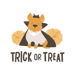 Funny dog in devil costume with pumpkins on background. Trick or treat card with text. Cute bulldog with crown, in cloak, shirt and vest. Halloween animal, print, poster. Vector illustration.