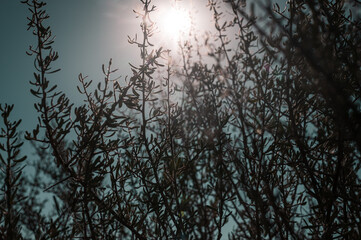 The desert landscape of Namibia, the natural landscape of Africa, located in Sossusvlei, Namibia.