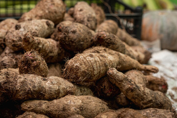 Chamo coffee in a drawer of a greengrocer's shop