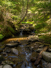 Small river flowing rapidly and vividly through its wild stony valley. Wild hardwood forest accompanies the river along its path. Little stream among the woods. Carpathians, Ukraine
