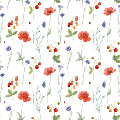 Beautiful vector seamless floral pattern with hand drawn watercolor gentle wild field flowers cornflower poppy. Stock illuistration.