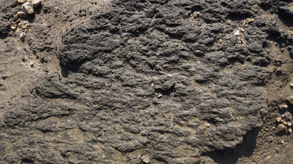 Naturally textured black rough texture
