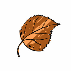 Autumn sketch brown Birch leaf. Hand-drawn color textured herb on white background. Doodle plant image. Nature, forest, ikebana, fall sign. Carved inked leaf. Vector botanical season illustration