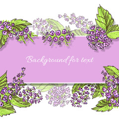 Multicolored Template Background for Holidays stories. Felt pen Floral violet, purple and green Element in the style of line art. Pink Backgrounds for text. Doodle and scribble Flower with leafs