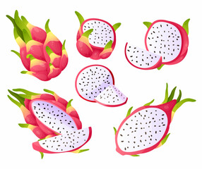 Dragon fruit. Cartoon pitaya pieces. Sweet exotic products. Half and whole pitahaya. Healthy organic dessert ingredients. Delicious juicy food. Vector isolated tropical Asian plants set