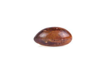 seed of Pouteria campechiana, canistel fruit with white background