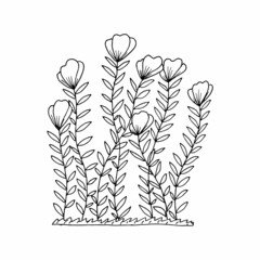 Flowerbed with flowers for coloring, doodle style drawing, black and white vector